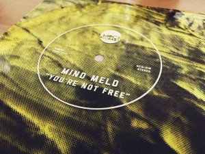 Mind Meld - You're Not Free 7" Flexi