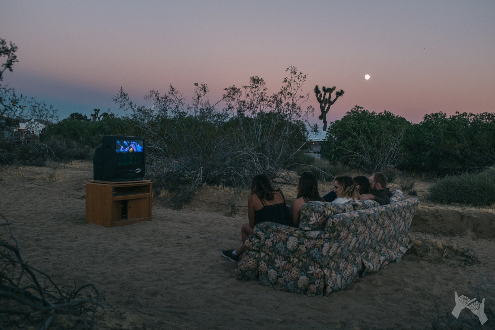 TV Melts Your Brain at Desert Daze 2016