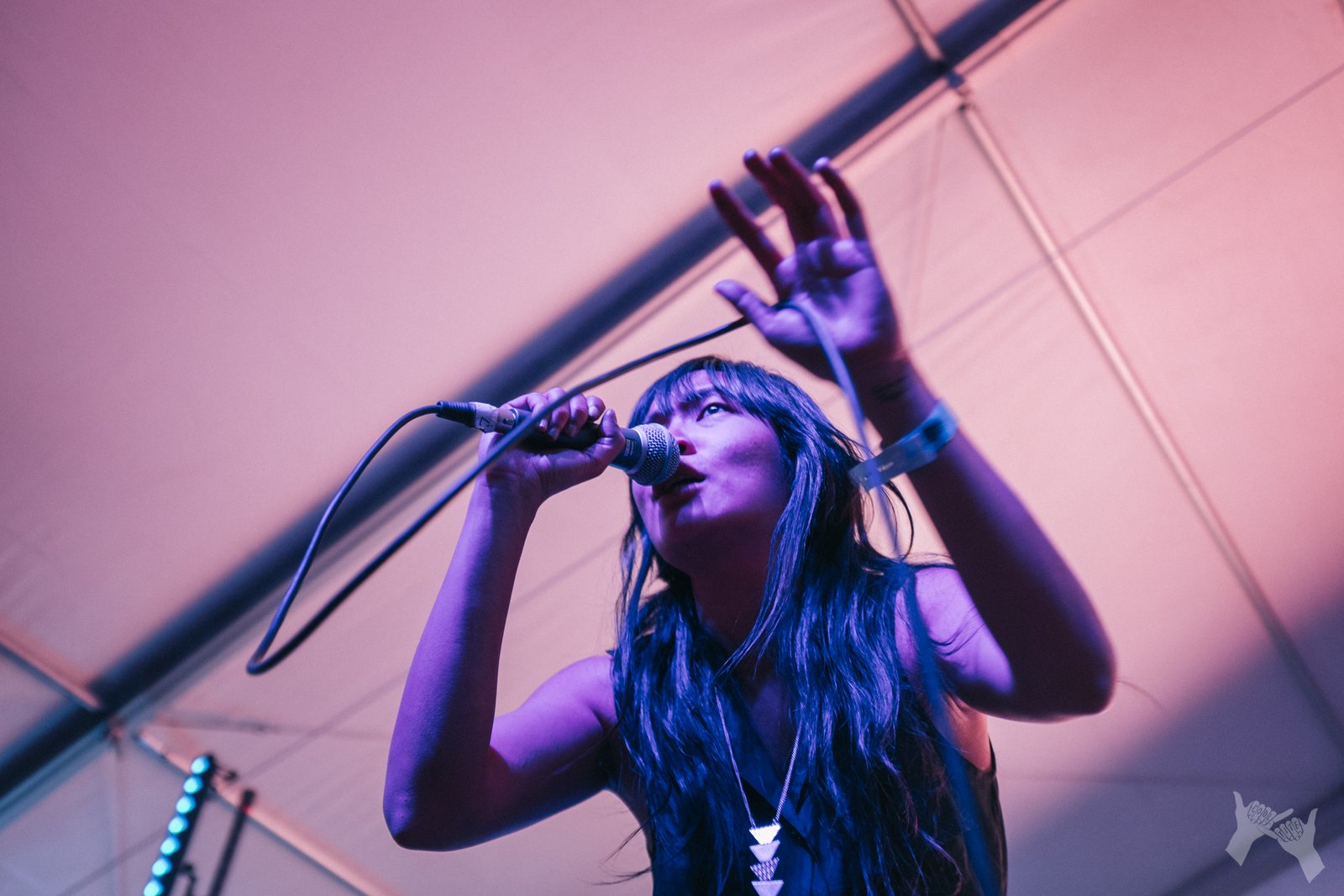 Thao & The Get Down Stay Down at Desert Daze 2016